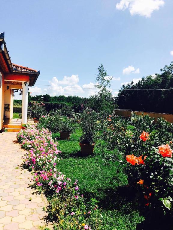 Liget Panzio Hotel Nyirbogdany Exterior foto